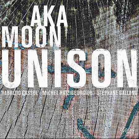 AKA MOON - Unison cover 