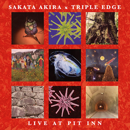 AKIRA SAKATA - Sakata Akira x Triple Edge : Live At Pit Inn cover 