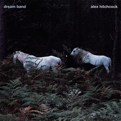 ALEX HITCHCOCK - Dream Band cover 