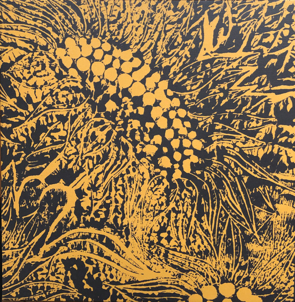 AMANDA WHITING - Little Sunflower cover 