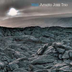 AMATO JAZZ TRIO - Well cover 