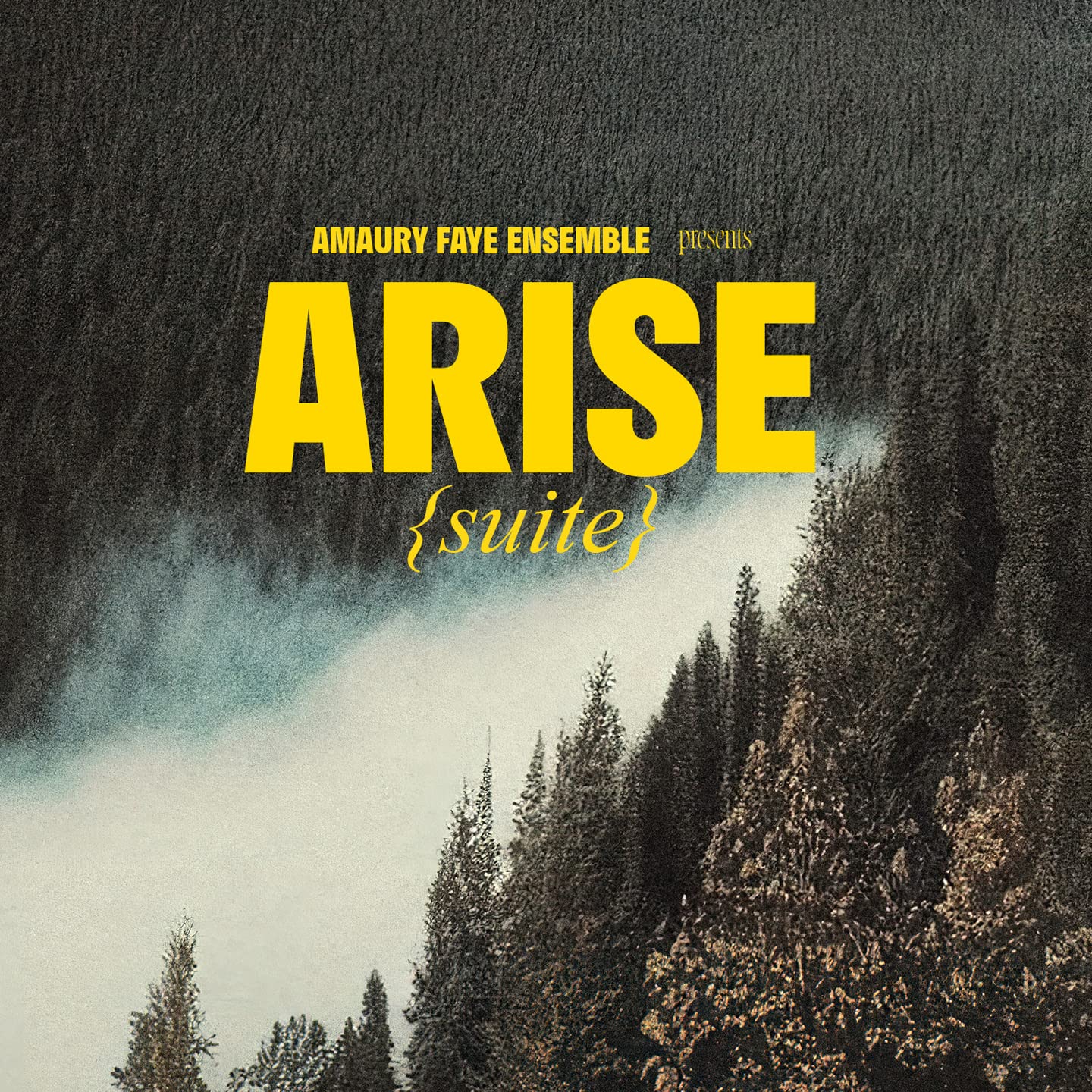 AMAURY FAYE - Amaury Faye Ensemble : Arise (suite) cover 