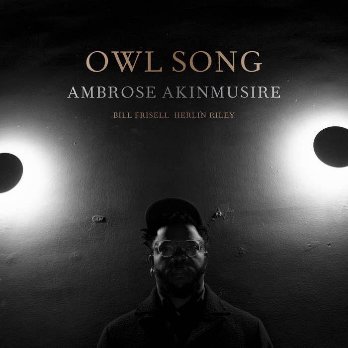 AMBROSE AKINMUSIRE - Owl Song cover 