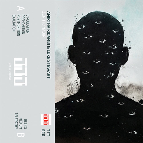 AMIRTHA KIDAMBI - Amirtha Kidambi / Luke Stewart : Zenith/Nadir cover 