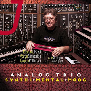 ANALOG TRIO - Synthi Mental Moog cover 