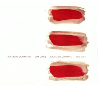 ANDREW DOWNING - Andrew Downing, Jim Lewis & David Occhipinti: Bristles cover 