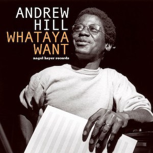 ANDREW HILL - Whataya Want’ Dig cover 