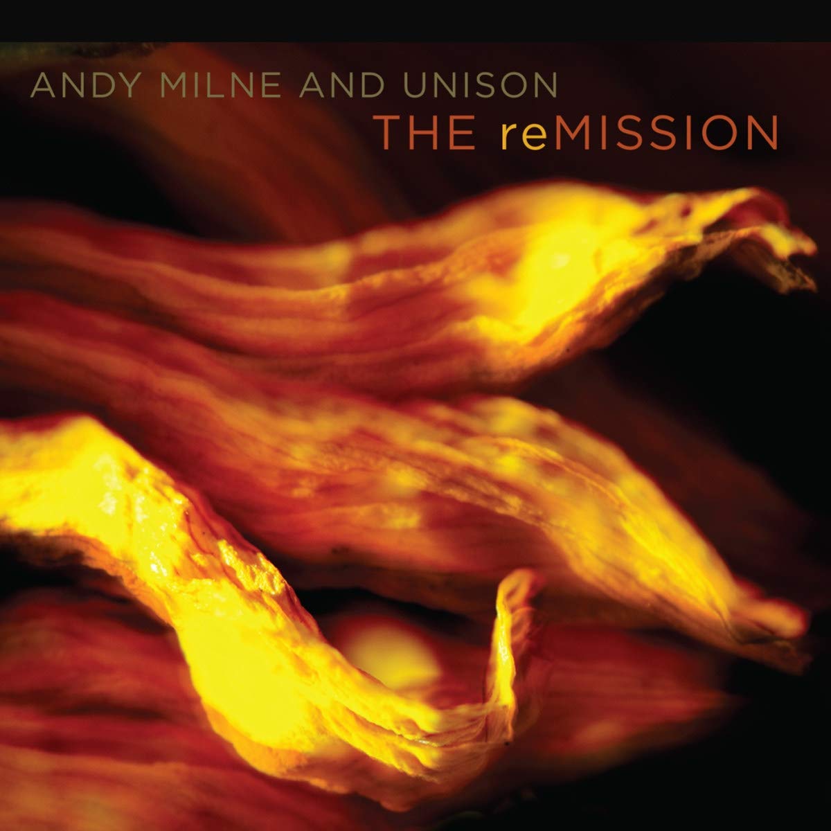 ANDY MILNE - The reMissiion cover 