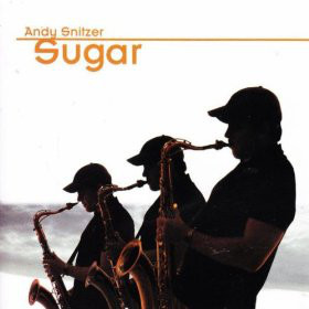ANDY SNITZER - Sugar cover 