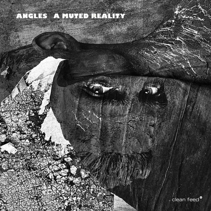 ANGLES - A Muted Reality cover 