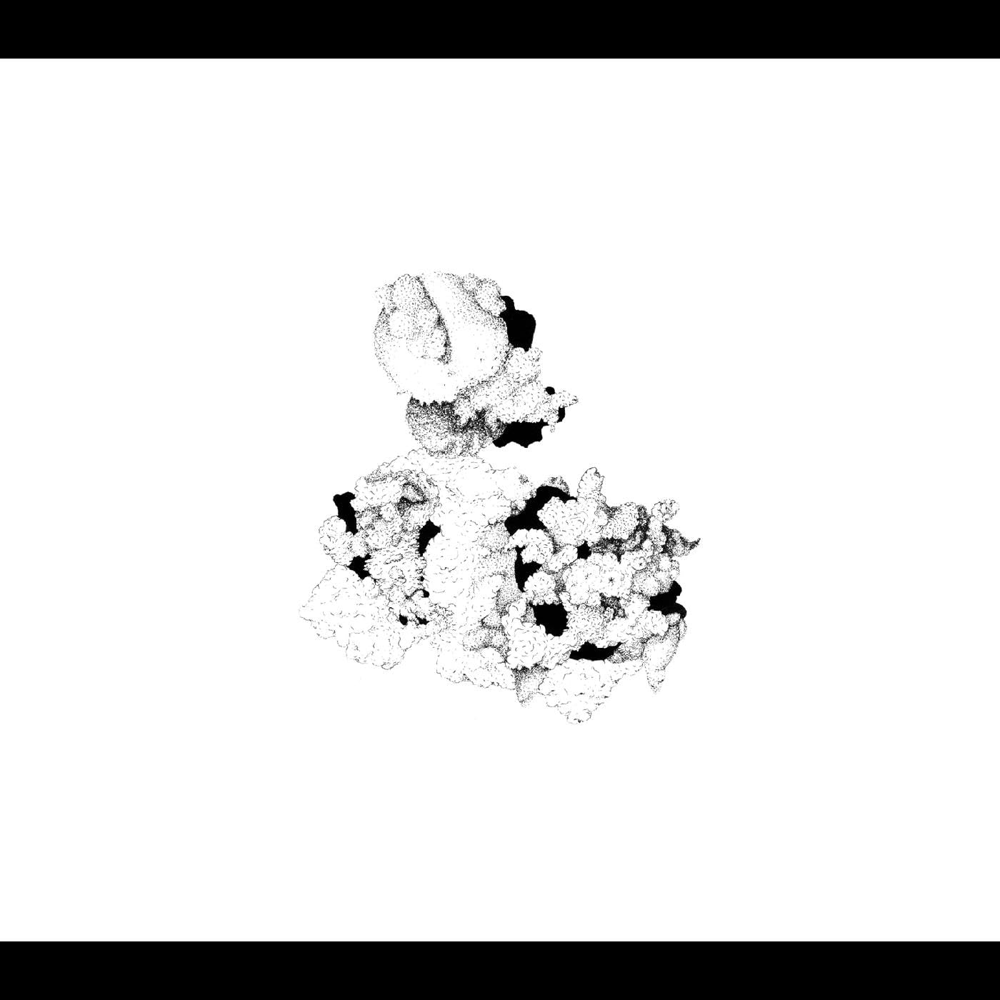 ANNA WEBBER - Anna Webber & Matt Mitchell : Capacious Aeration cover 