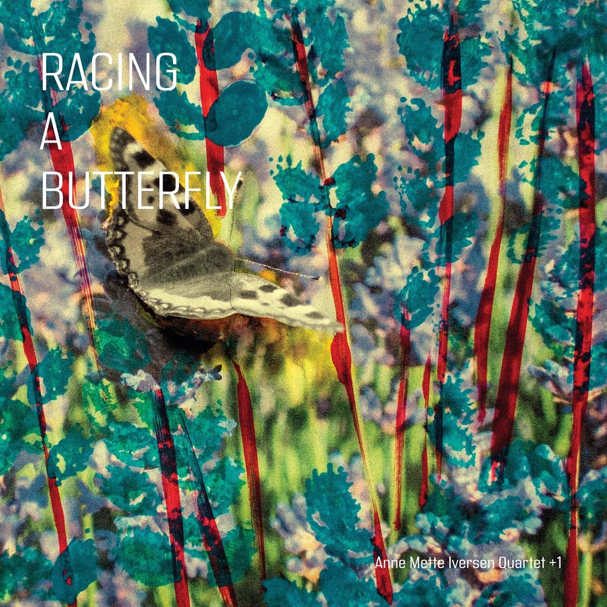 ANNE METTE IVERSEN - Anne Mette Iversen Quartet+1 : Racing a Butterfly cover 