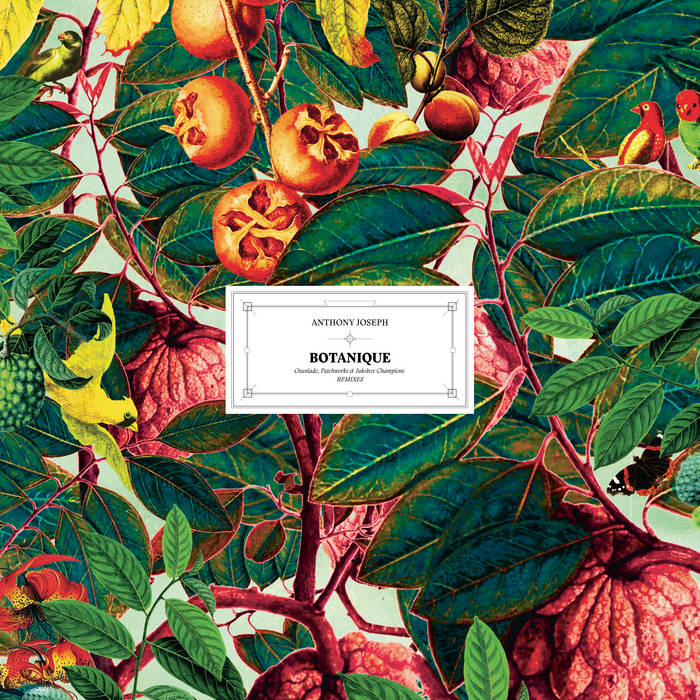 ANTHONY JOSEPH - BOTANIQUE EP cover 