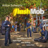 ANTON SCHWARTZ - Flash Mob cover 
