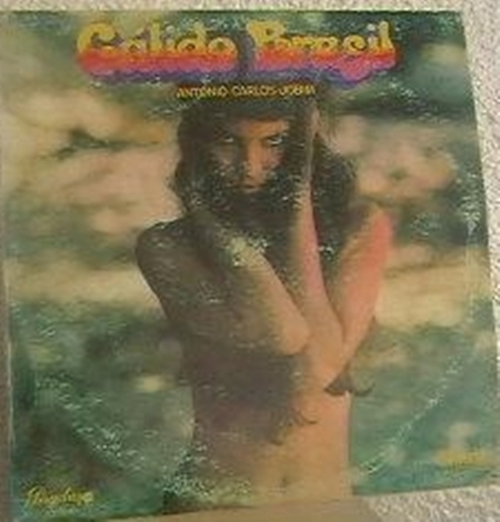 ANTONIO CARLOS JOBIM - Cálido Brasil cover 
