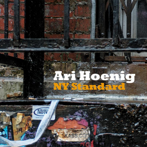 ARI HOENIG - NY Standard cover 