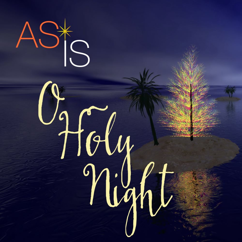 AS IS (ALAN AND STACEY SCHULMAN) - O Holy Night cover 