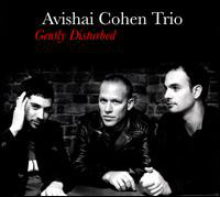 AVISHAI COHEN (BASS) - Gently Disturbed cover 