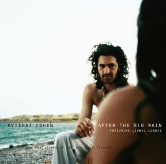 AVISHAI COHEN (TRUMPET) אבישי כהן - After the Big Rain cover 
