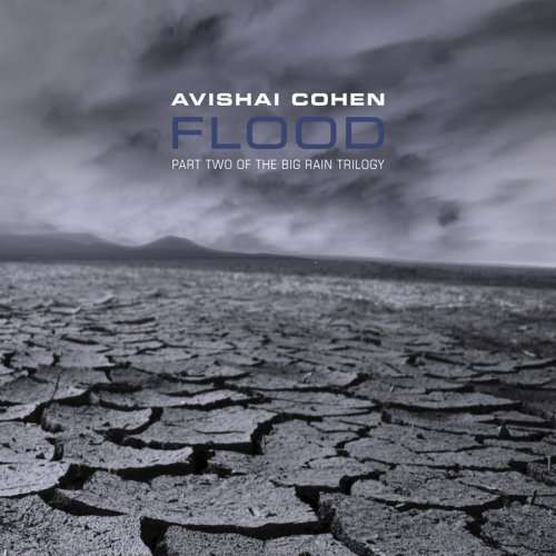 AVISHAI COHEN (TRUMPET) - Flood cover 