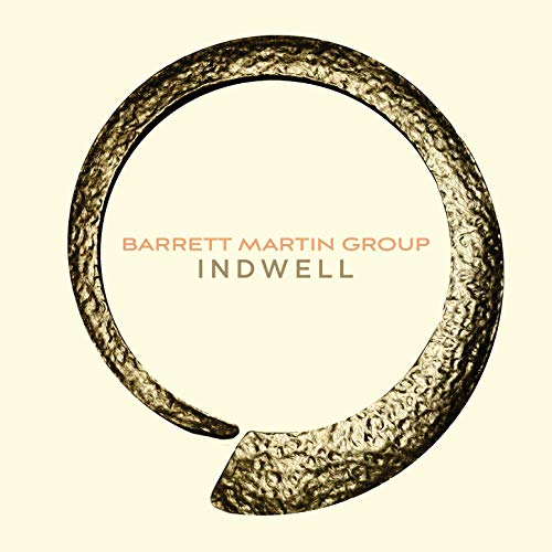 BARRETT MARTIN - Barrett Martin Group : Indwell cover 