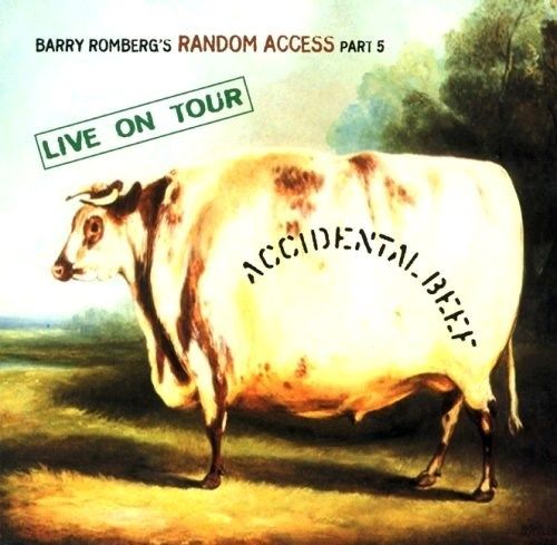 BARRY ROMBERG - Live On Tour cover 
