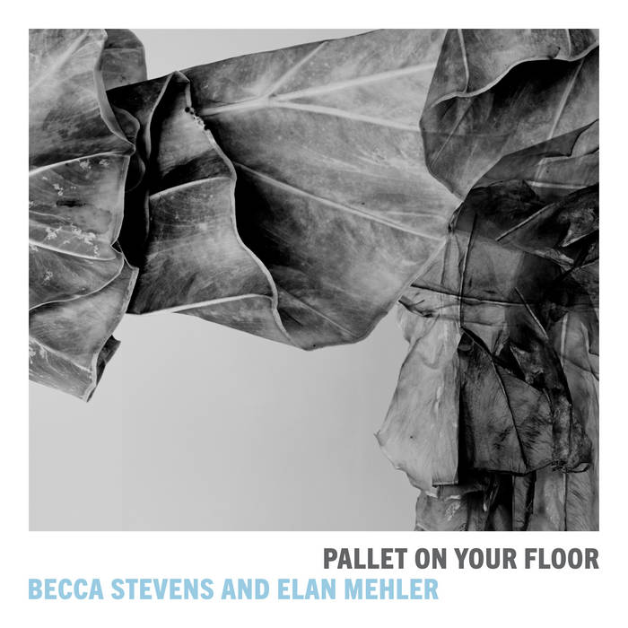 BECCA STEVENS - Becca Stevens & Elan Mehler : Pallet On Your Floor cover 