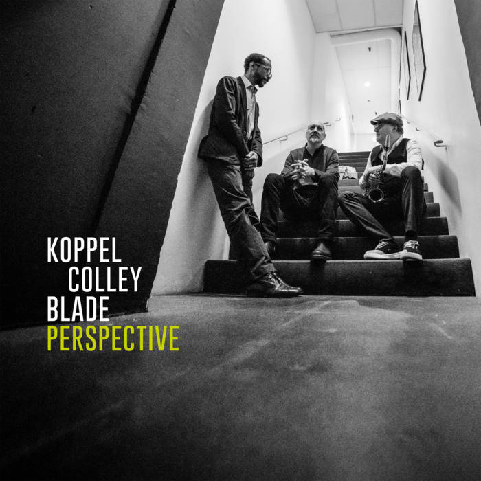 BENJAMIN KOPPEL - Benjamin Koppel, Scott Colley &amp; Brian Blade : Perspective cover 