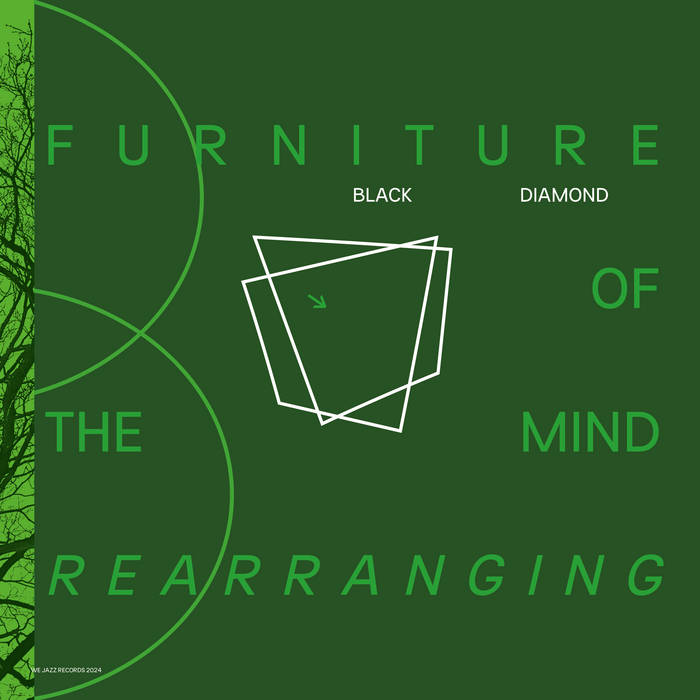 BLACK DIAMOND - Furniture of the Mind Rearranging cover 