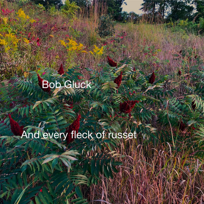 BOB GLUCK - And Every Fleck Of Russet cover 