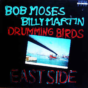 RA KALAM BOB MOSES - Drumming Birds cover 