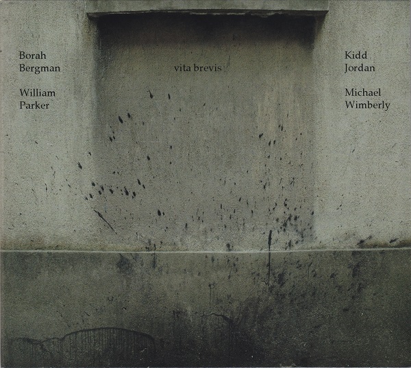BORAH BERGMAN - Borah Bergman/Kidd Jordan/William Parker/Michael Wimberly: Vita Brevis cover 
