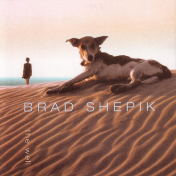 BRAD SHEPIK - The Well cover 