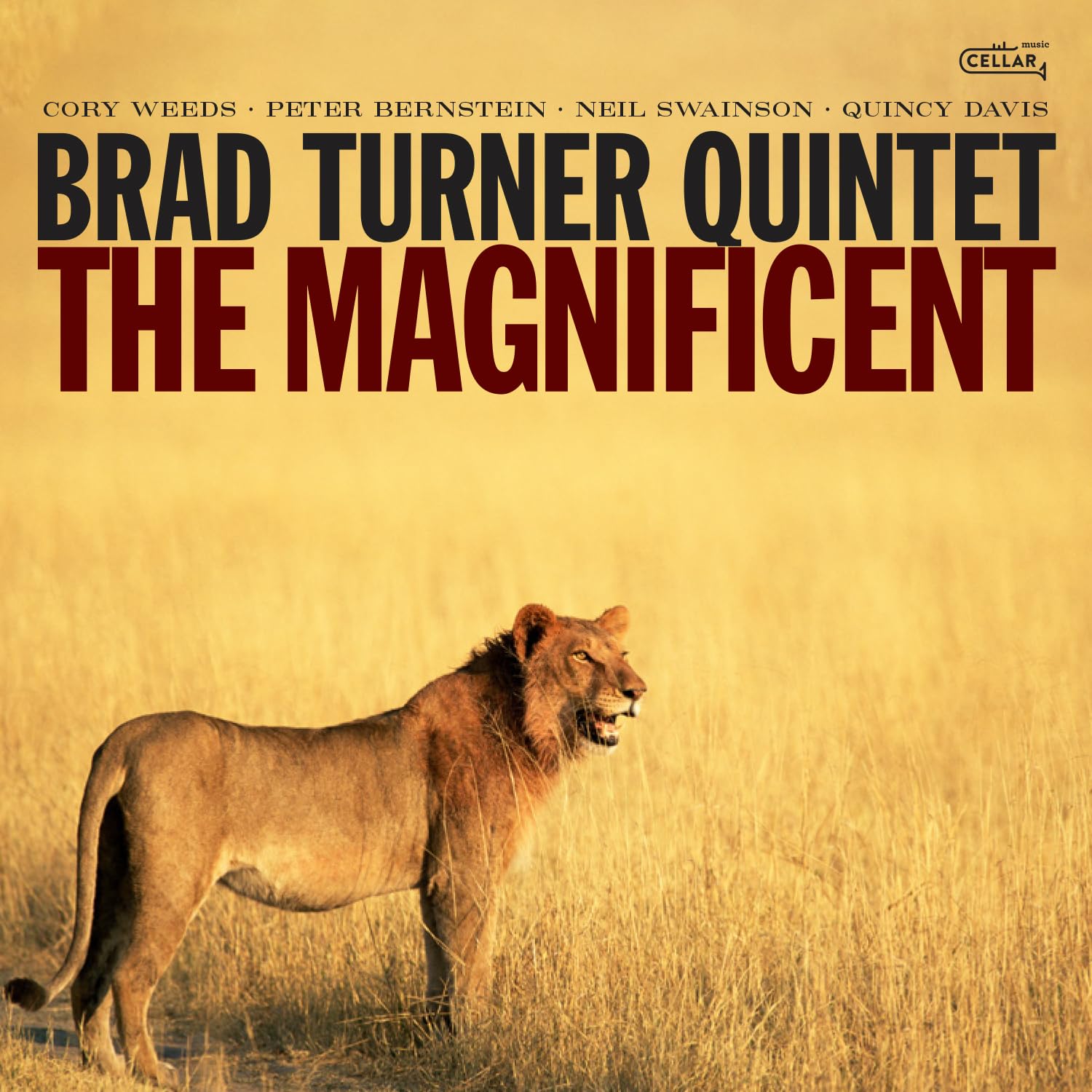 BRAD TURNER - Brad Turner Quintet : The Magnificent cover 