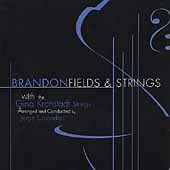 BRANDON FIELDS - Fields & Strings cover 