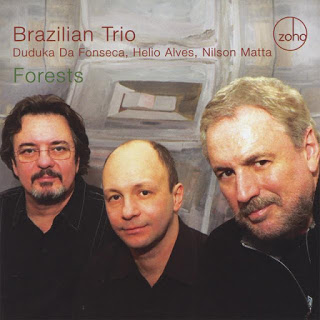 BRAZILIAN TRIO - Forests cover 