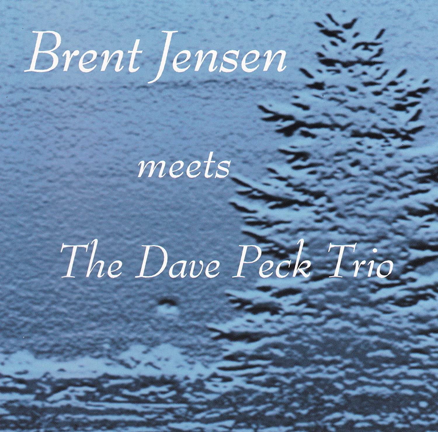 BRENT JENSEN - Brent Jensen Meets The Dave Peck Trio cover 