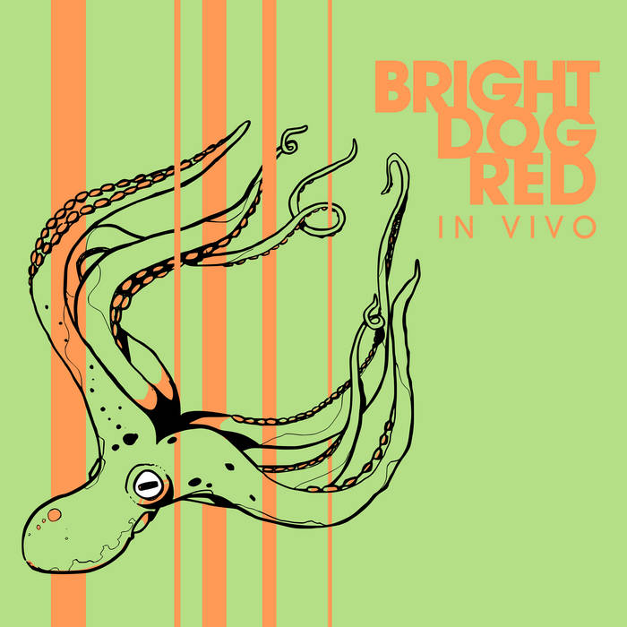 BRIGHT DOG RED - In Vivo cover 