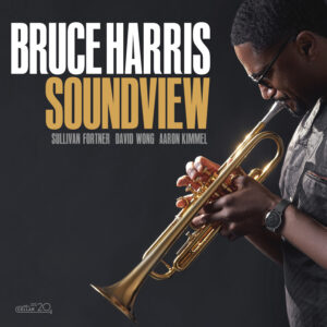 BRUCE HARRIS - Soundview cover 