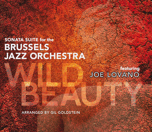 BRUSSELS JAZZ ORCHESTRA - Wild Beauty cover 