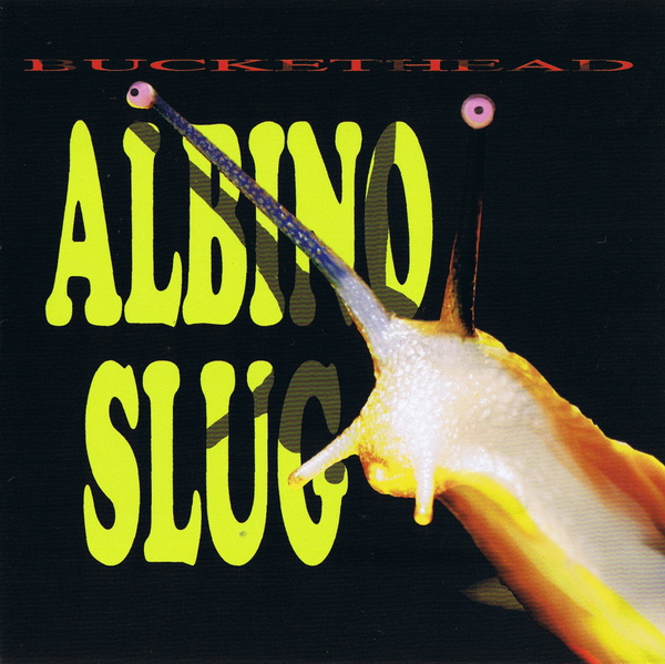 BUCKETHEAD - Albino Slug cover 