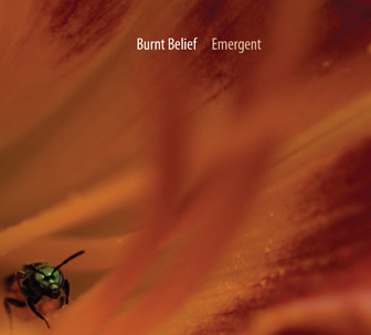 BURNT BELIEF - Emergent cover 