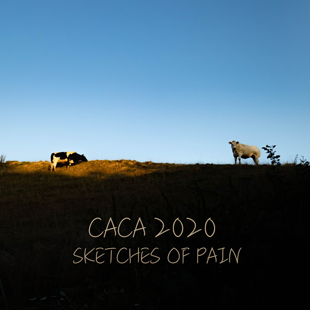 CACA - Sketches of Pain cover 
