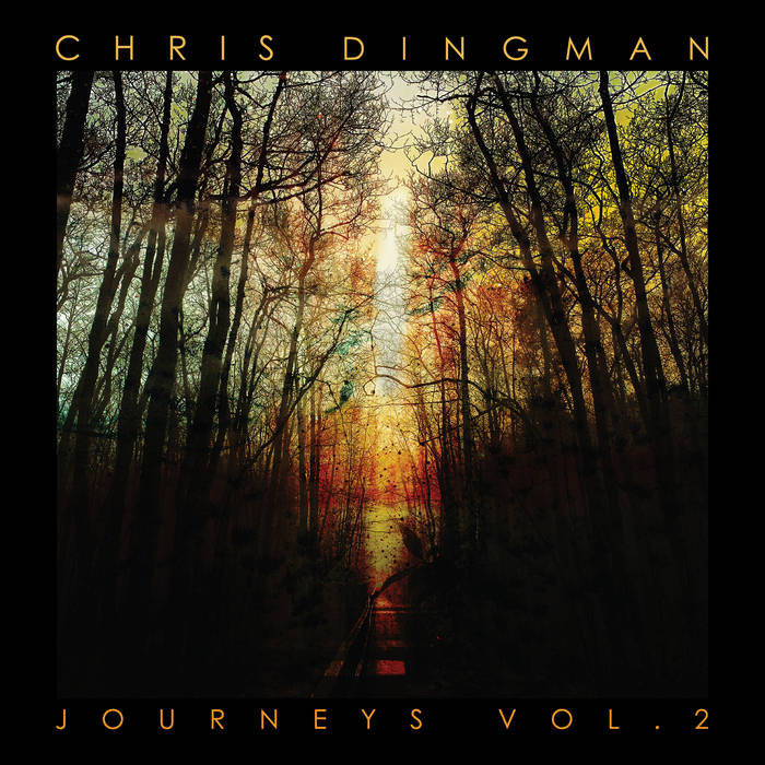 CHRIS DINGMAN - journeys vol. 2 cover 