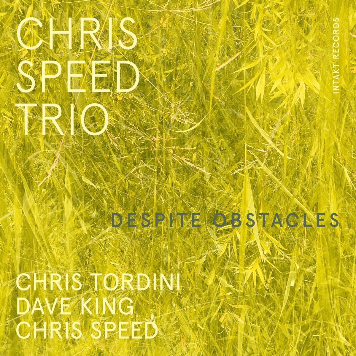 CHRIS SPEED - Chris Speed Trio : Despite Obstacles cover 