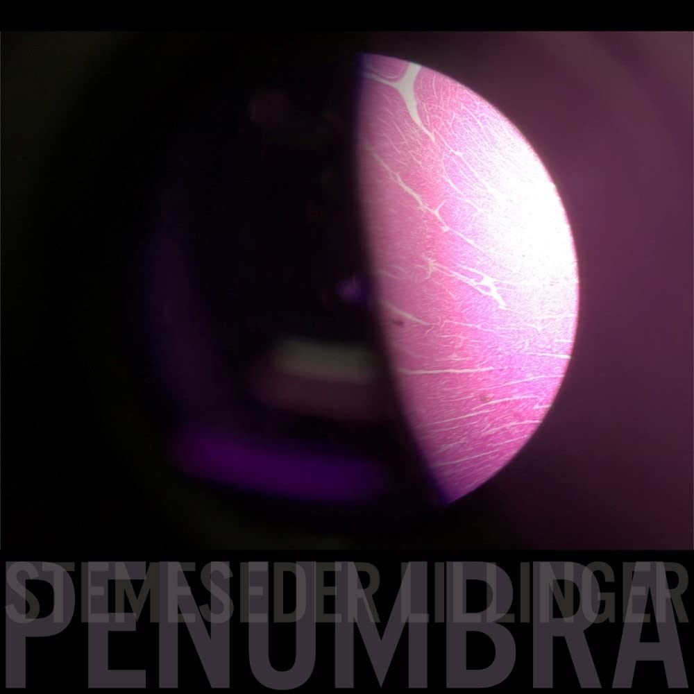 CHRISTIAN LILLINGER - Elias Stemeseder &amp; Christian Lillinger : Penumbra cover 