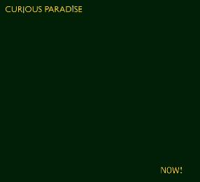 CURIOUS PARADISE - Now! cover 