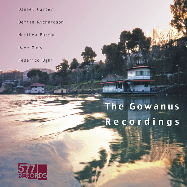 DANIEL CARTER - Daniel Carter, Demian Richardson, Matthew Putman, Dave Moss, Federico Ughi ‎: The Gowanus Recordings cover 
