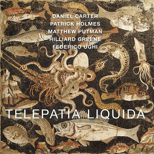 DANIEL CARTER - Daniel Carter / Patrick Holmes / Matthew Putman / Hilliard Greene / Federico Ughi : Telepatia Liquida cover 