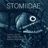 DANIEL LEVIN - Daniel Levin / Chris Pitsiokos / Brandon Seabrook : Stomiidae cover 